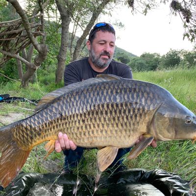 Cannes Carpes Sert Carp Instinct 12p 3lbs - Pêche de la Carpe