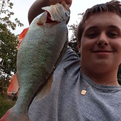 Dylan Fishing 59