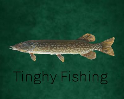 Tinghy fishing