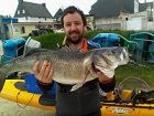 Hugues Chedanne