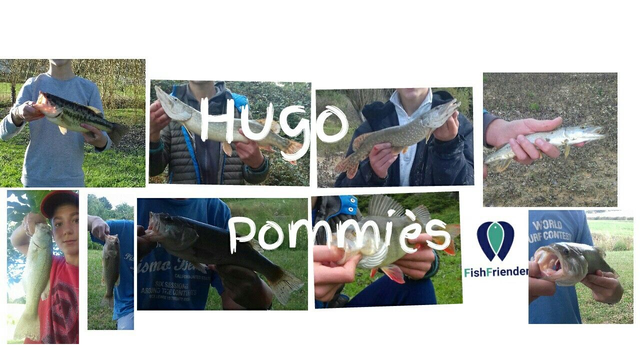Hugo Pommies