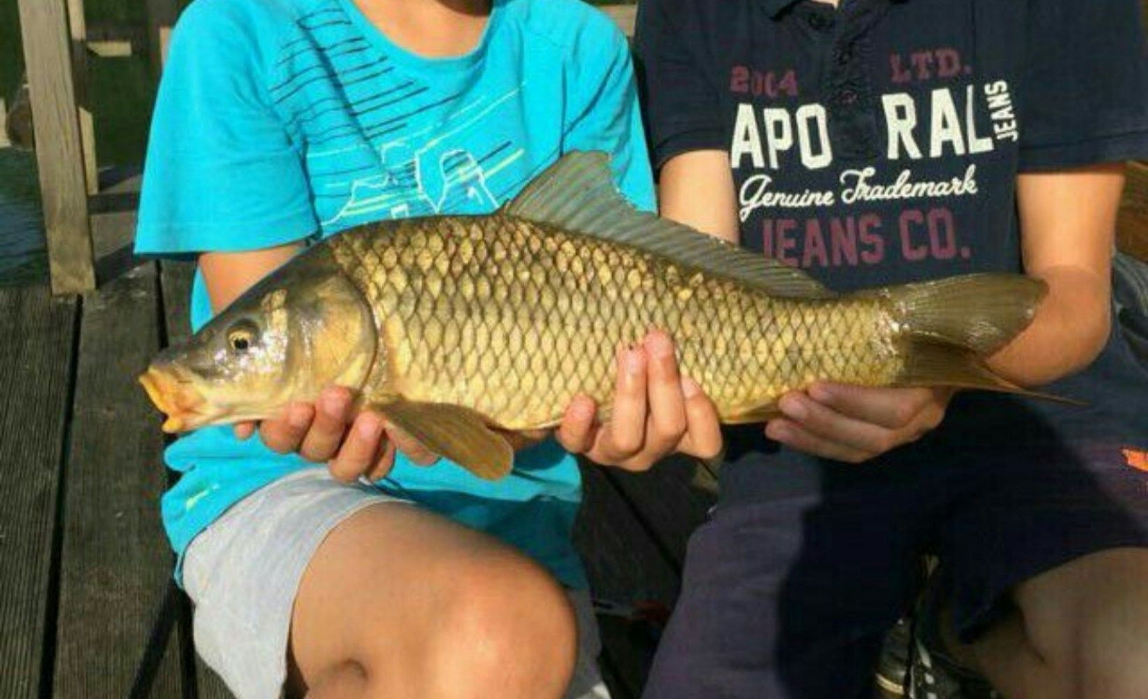 Lucas Ybert