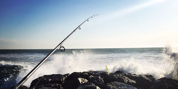 Royale Fishing