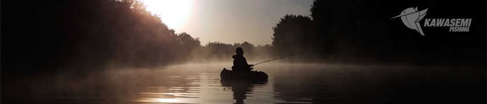 Kawasemi Fishing