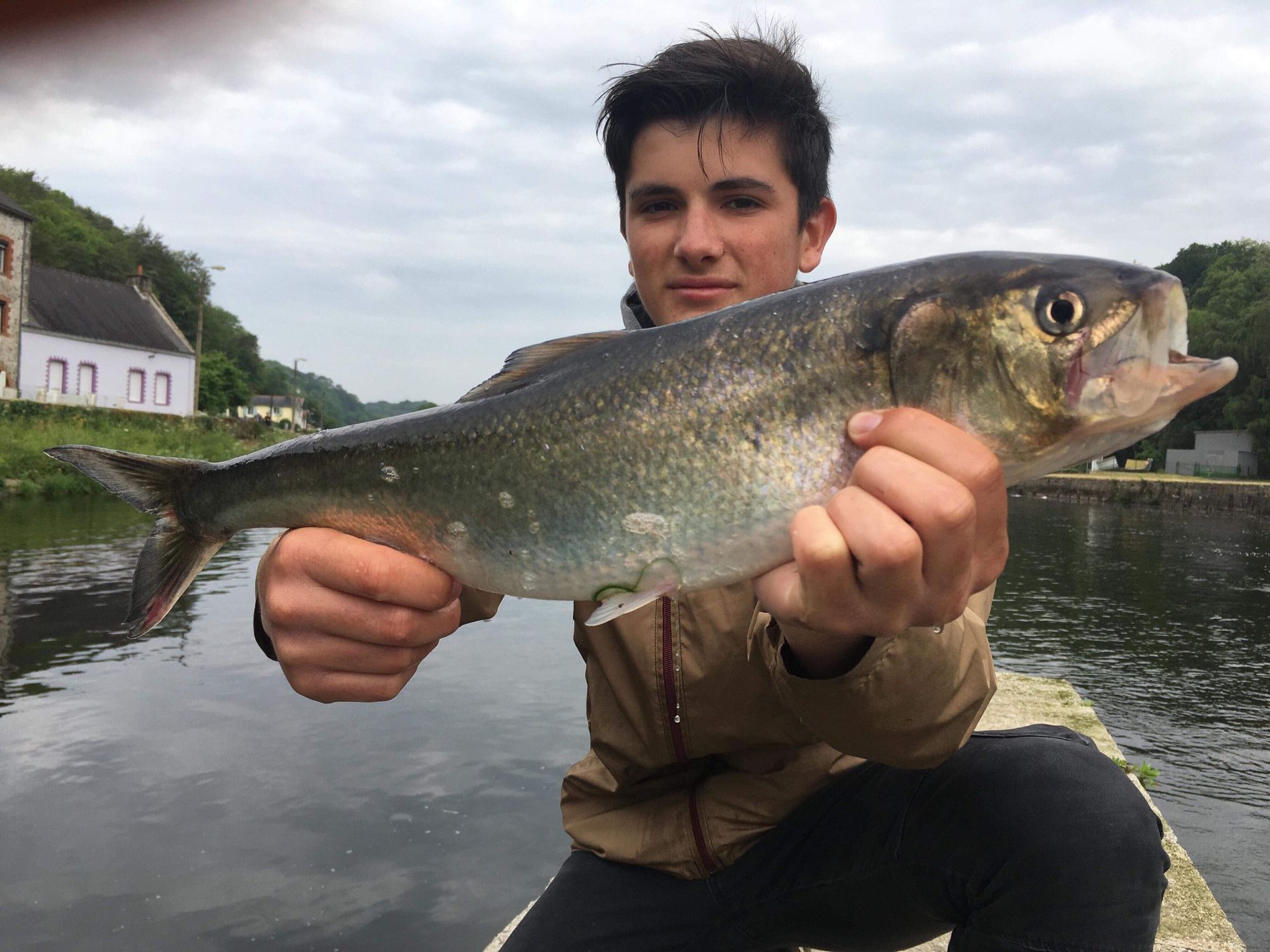 Matt cdl