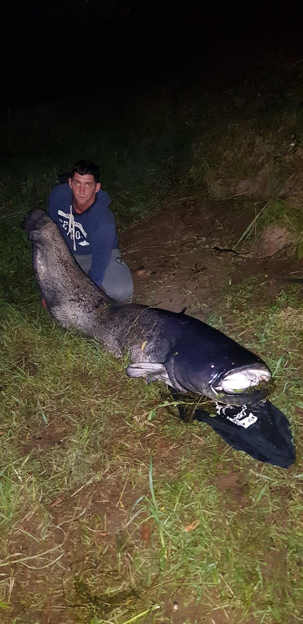 Bruce Fish