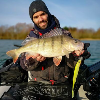 matthieu bollaert