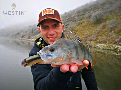 D'jo Fishing
