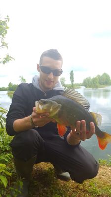 Romain Nocturne