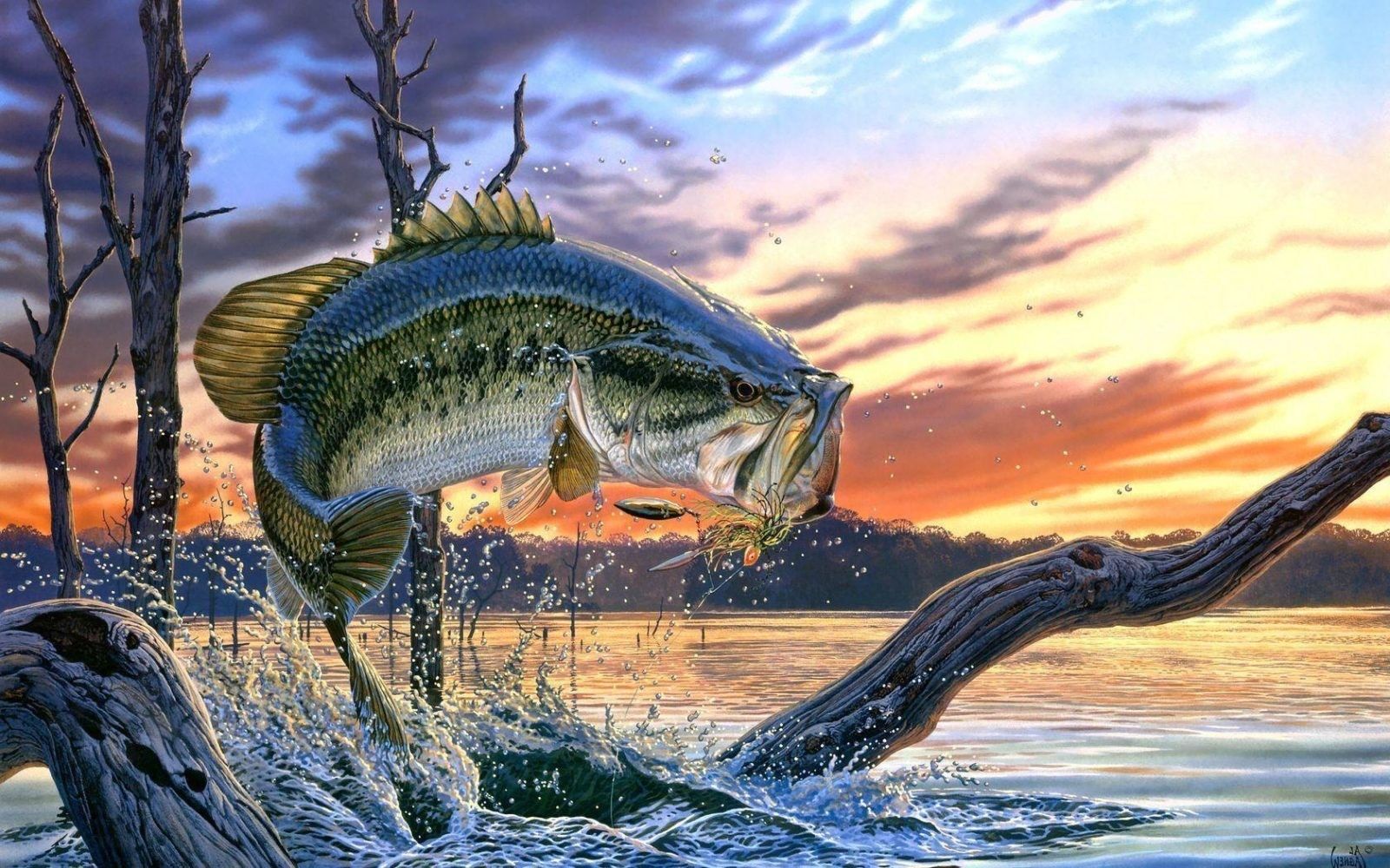 barberfishing Nokill