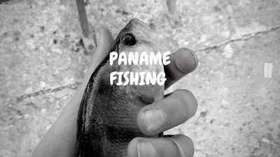 Paname Fishing