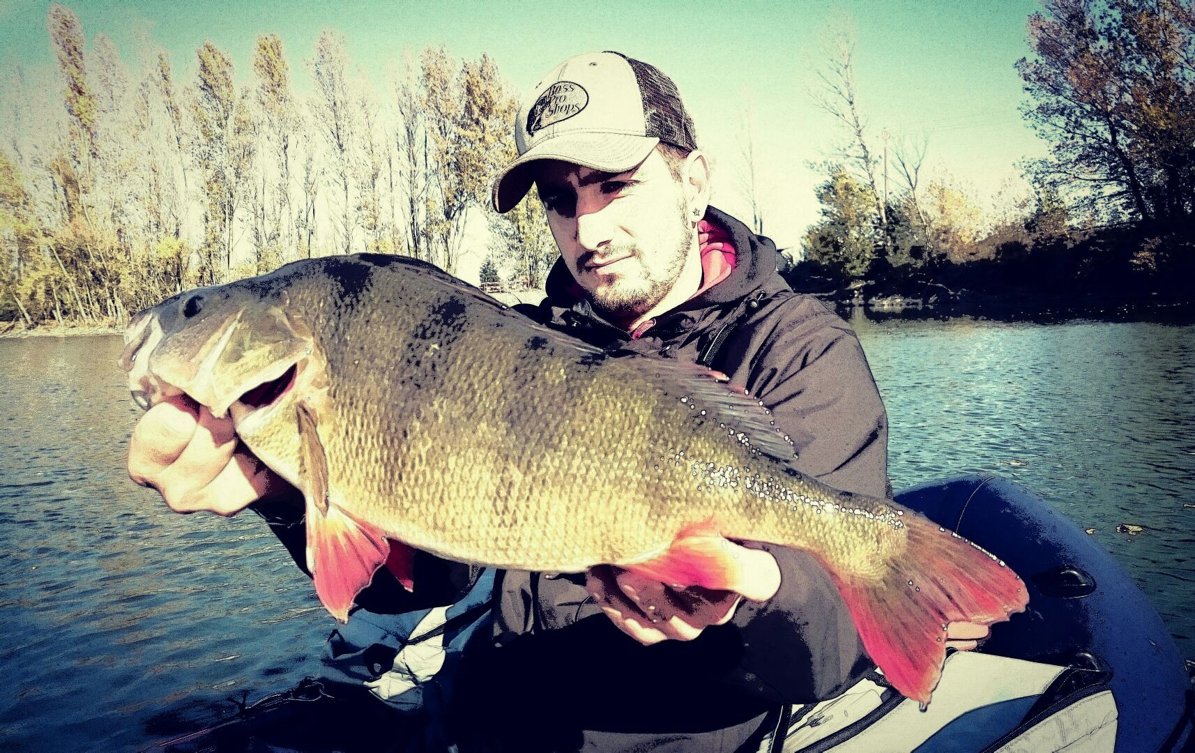 sacha gerber