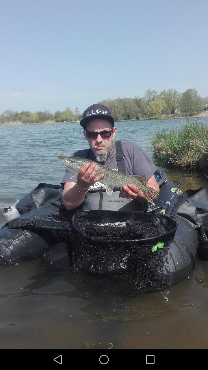 Bass Ludo