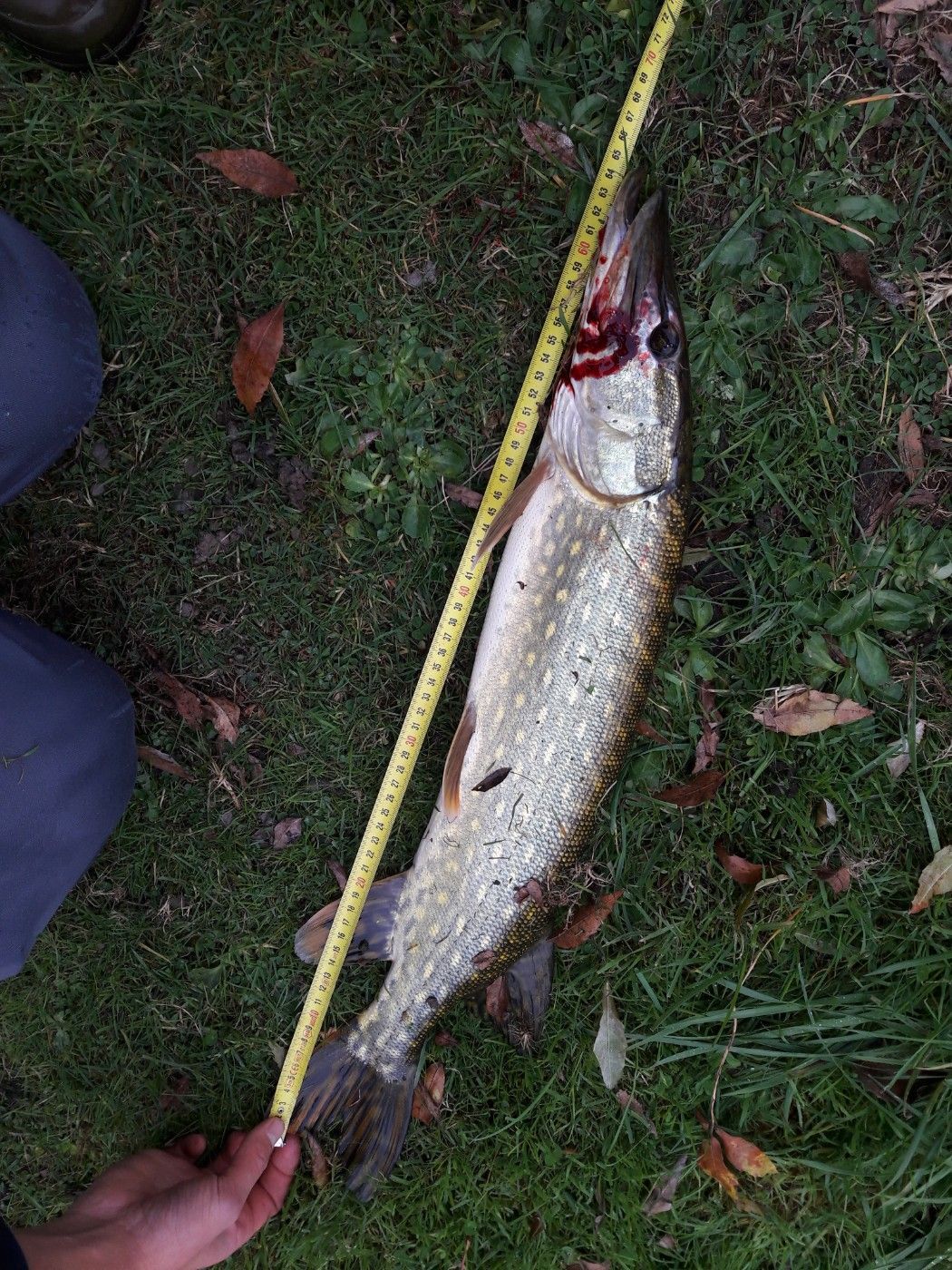 anto fishing man