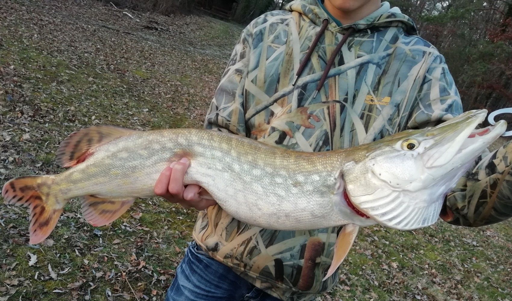 esox. fishing_