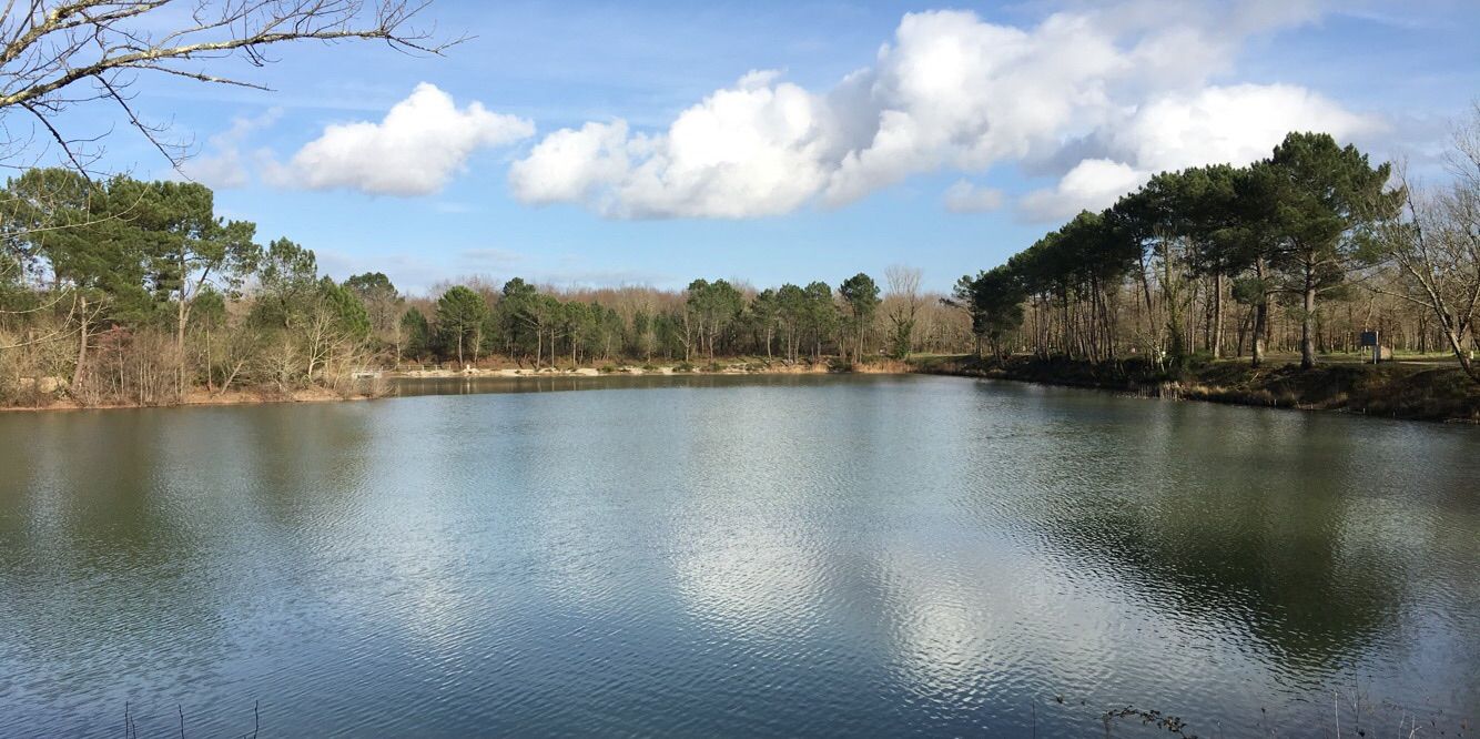 Ap Fishing