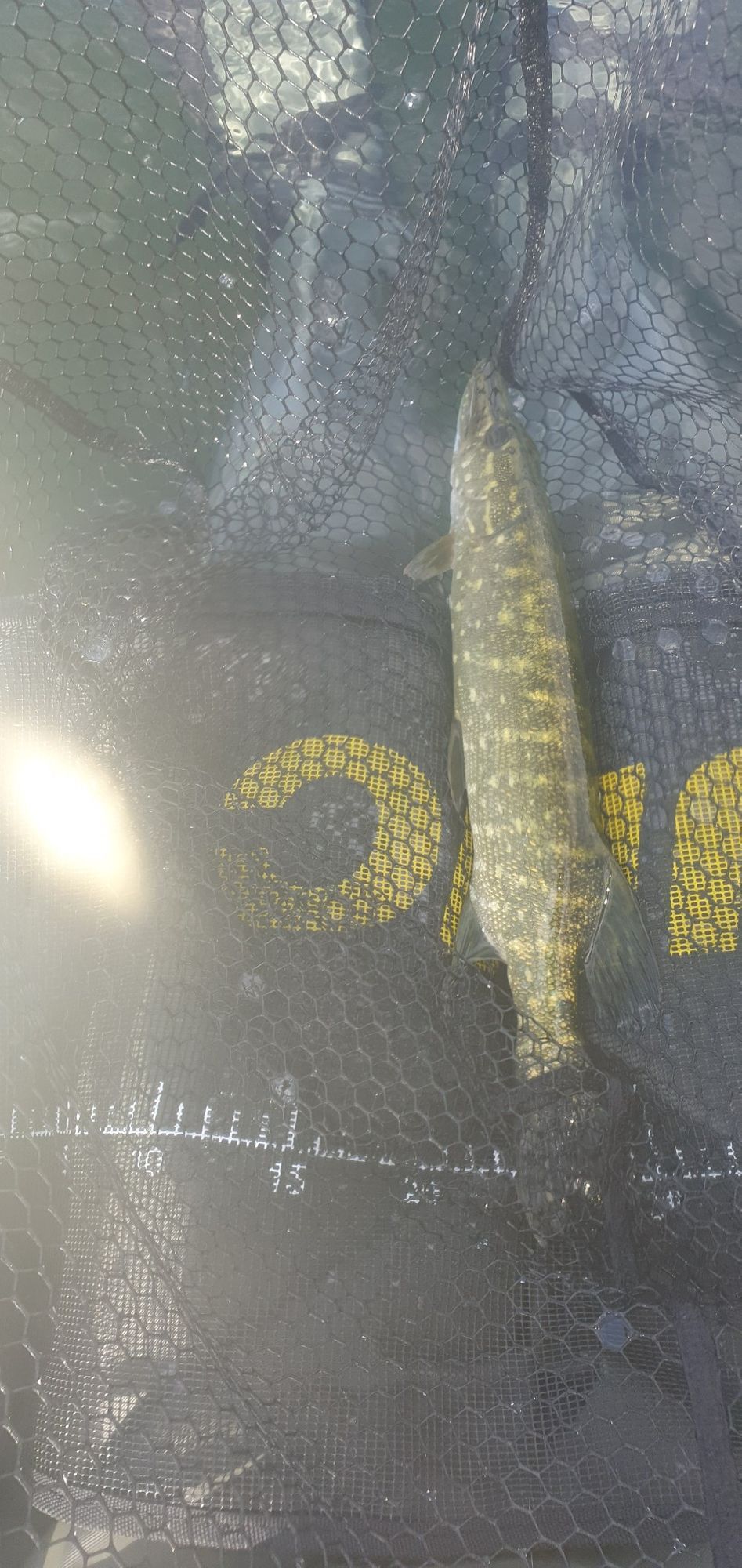 Theo Callede-raymond