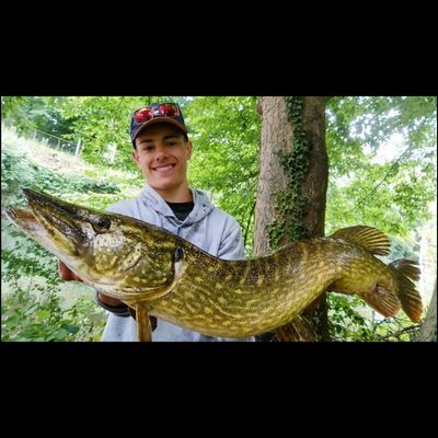 Wil Perch