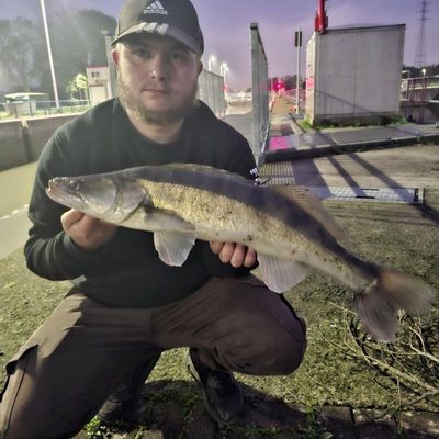 Yoyo Fish