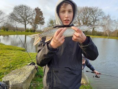 Noa Ollier