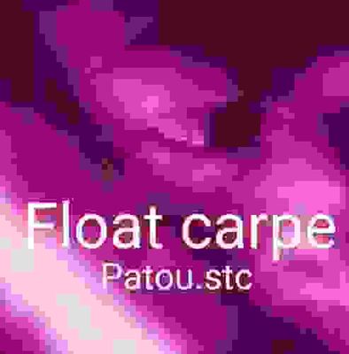 Float Carpe