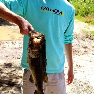 Siloh Fishing