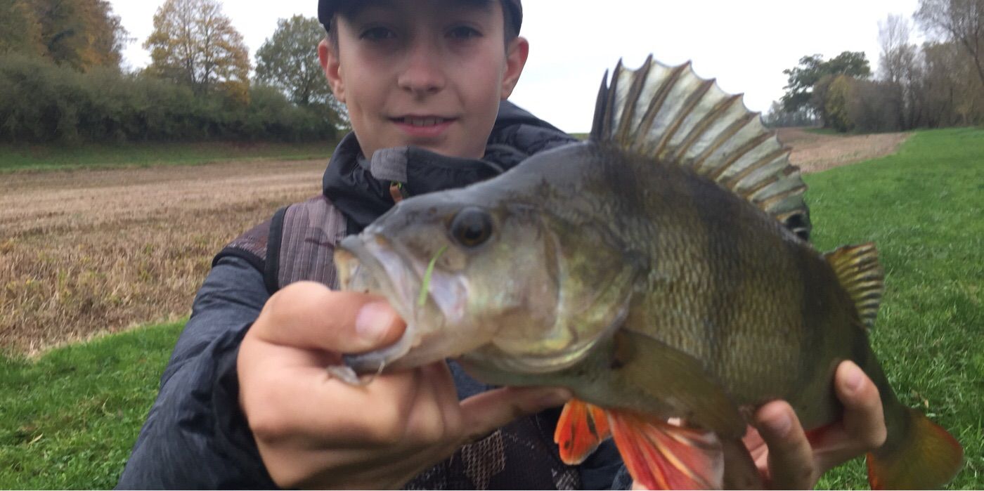 Antoine Calvisio