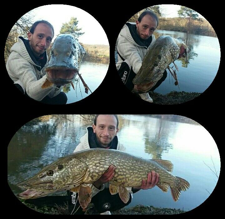 Jmenbas Lescouille