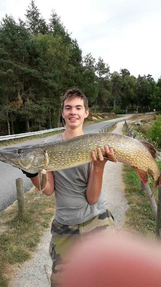 Cedric Laly