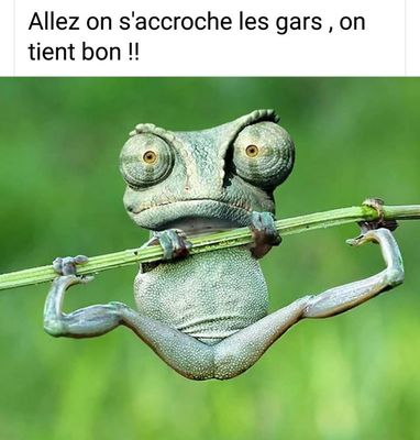 Gilles Andres