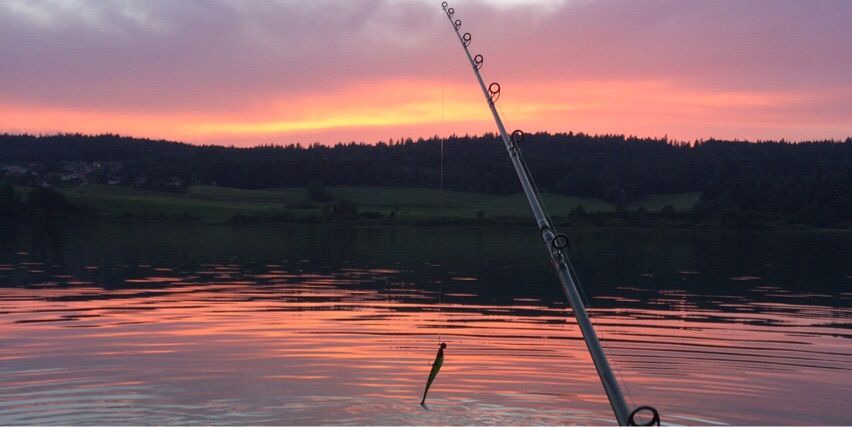 Esoxgab Fishing