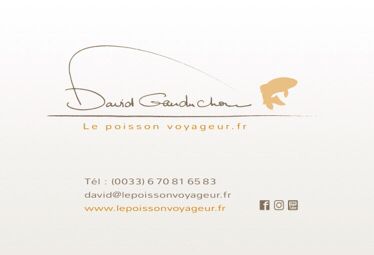 David Le Poisson Voyageur