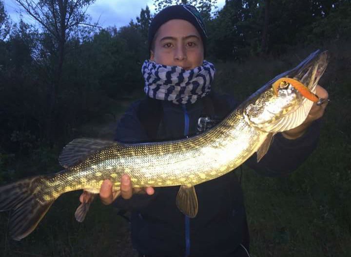 Enzo Gusi de Reyno