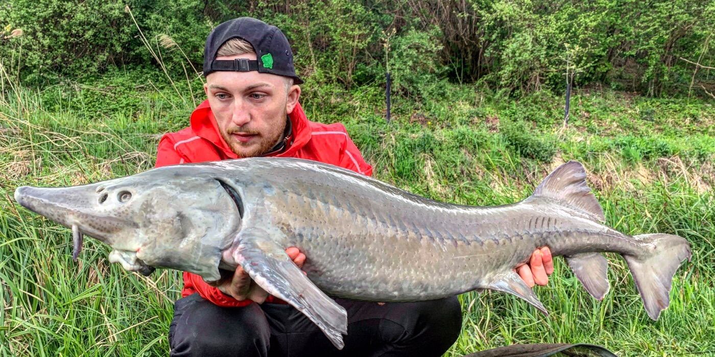Tony Carp Angler