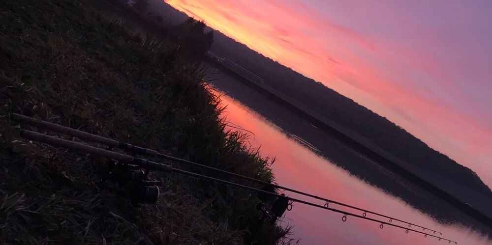 Saitama Fishing