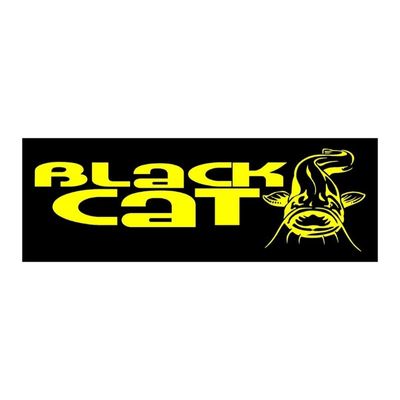 Gabriel Black Cat