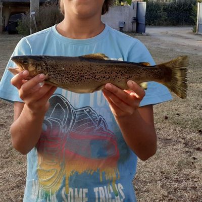 Le petit pêcheur Corse