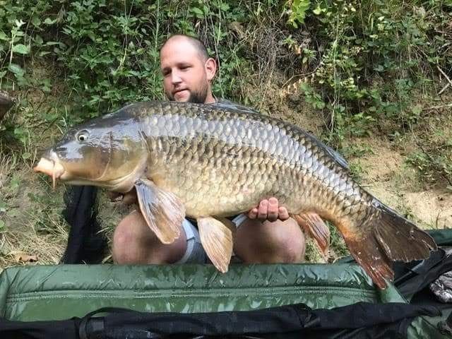Gerlini Florent