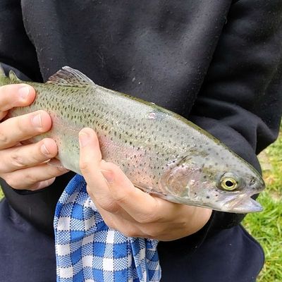 Yann 63fishing 🦧🦧🦧