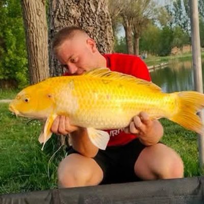 Brian Berteaux