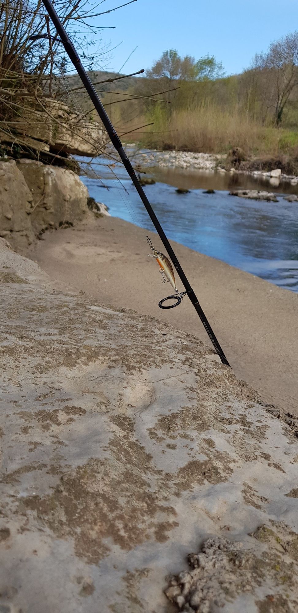Dam's Fishing family