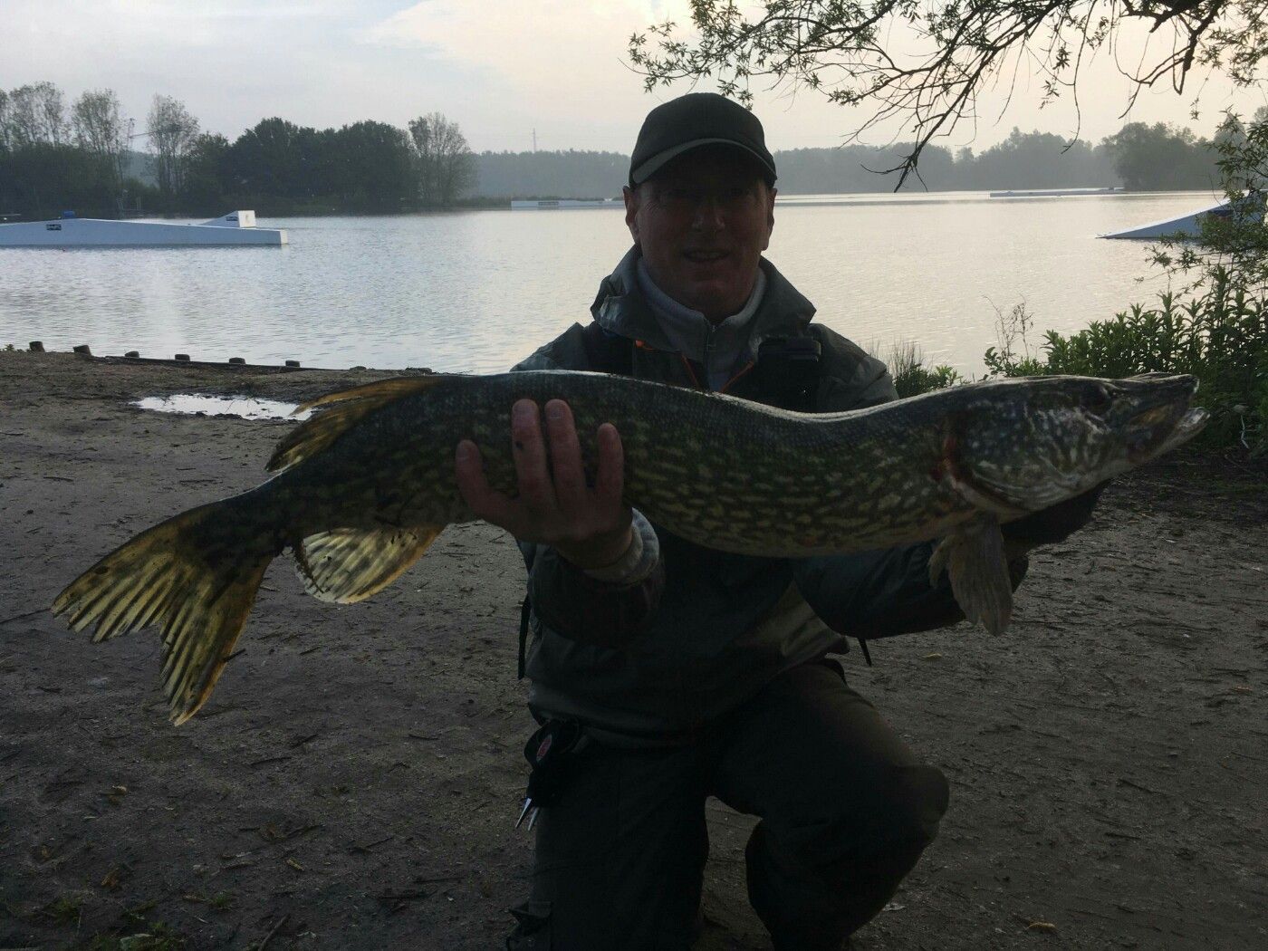 Galinette Saumonée