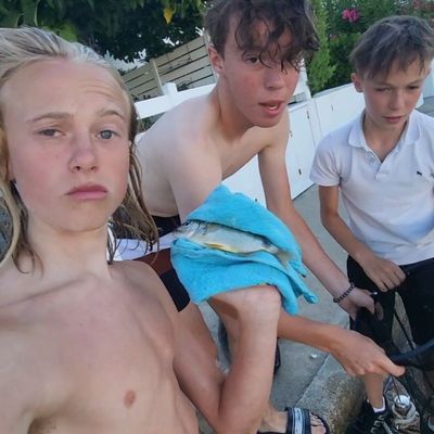 Clem Tlm