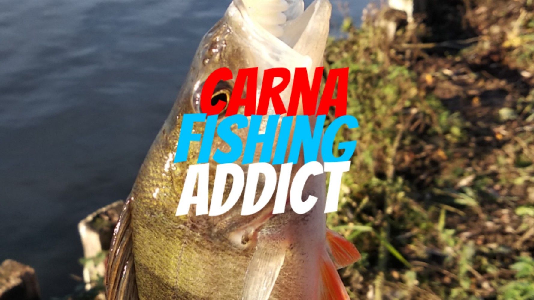 carca fishing