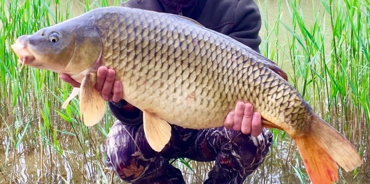 Pescayre Sud France