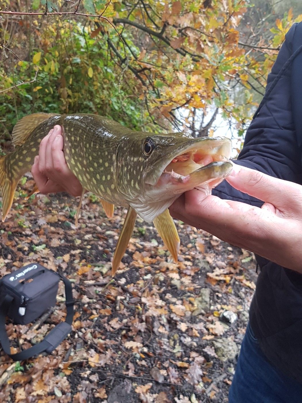 Matt fishing
