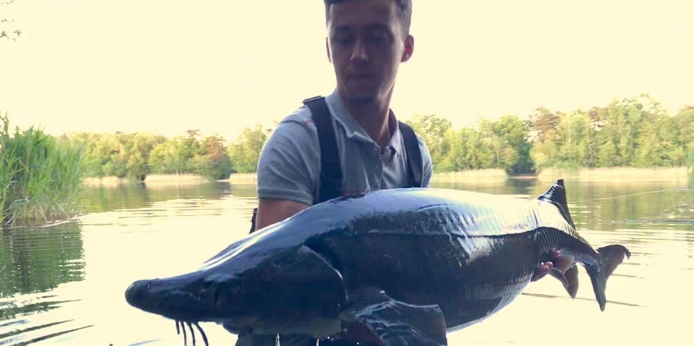 Loucasss_ Fish.hunt