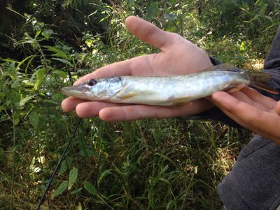 Val fishing