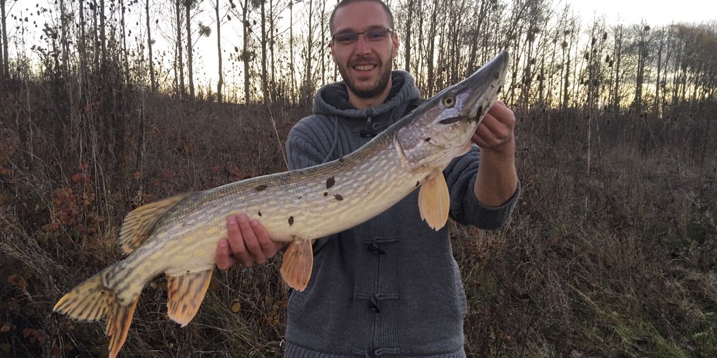 Carna Brother Fish (Fabien) Degreve
