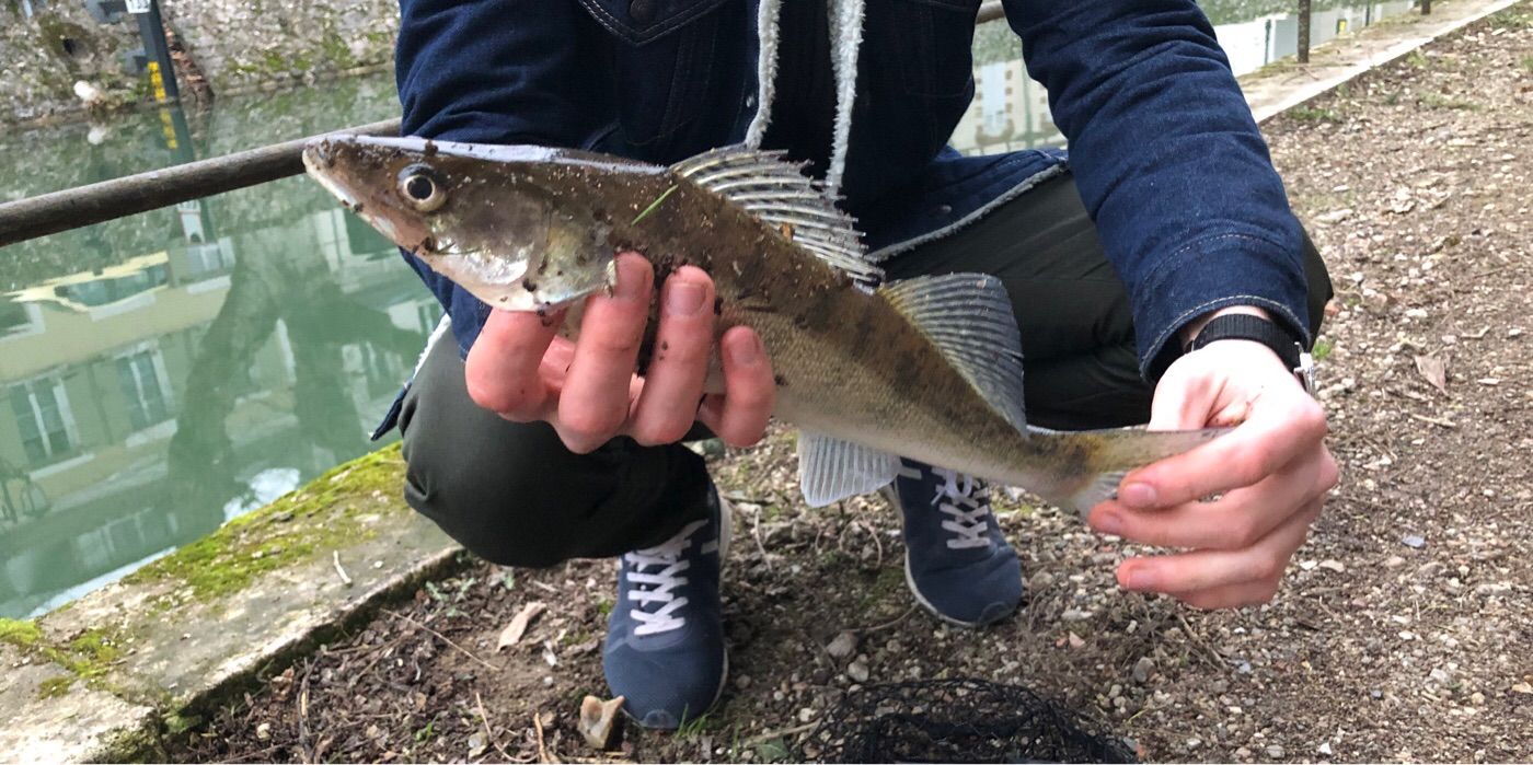Cédric Fishing